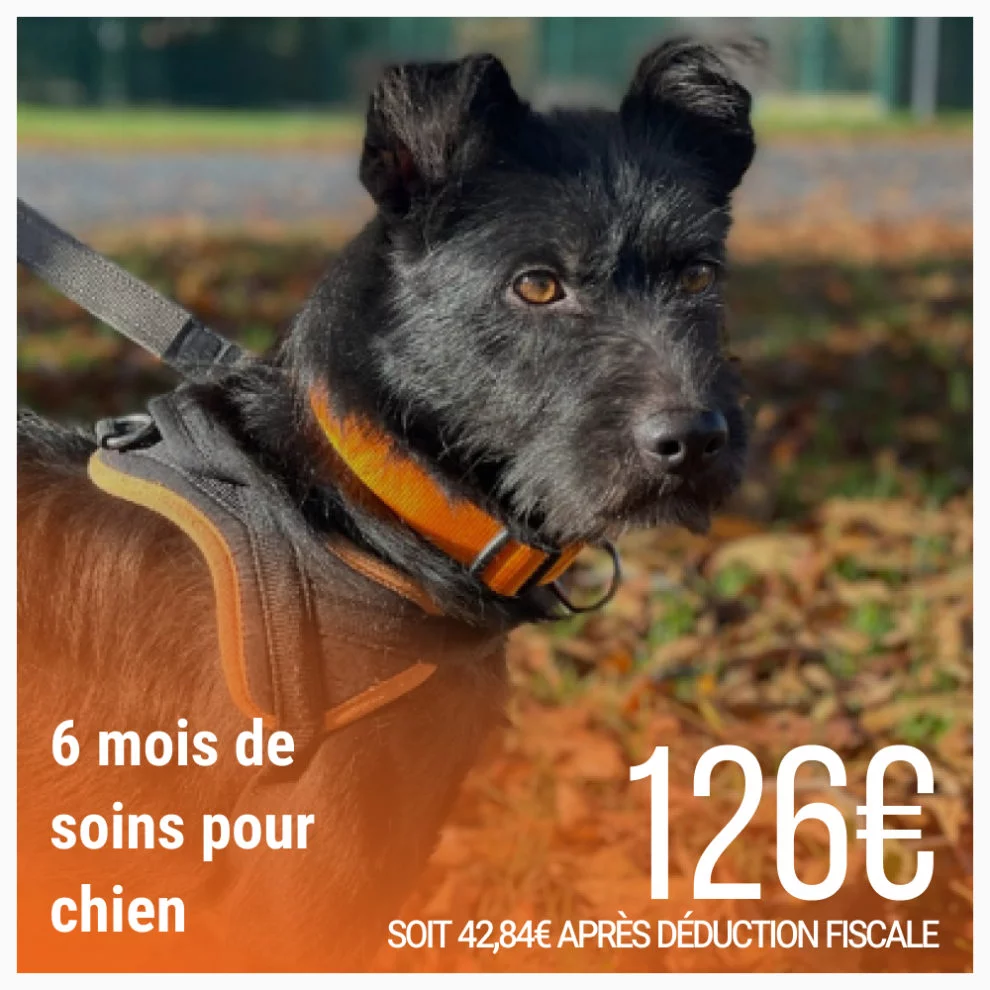 Couverture produit